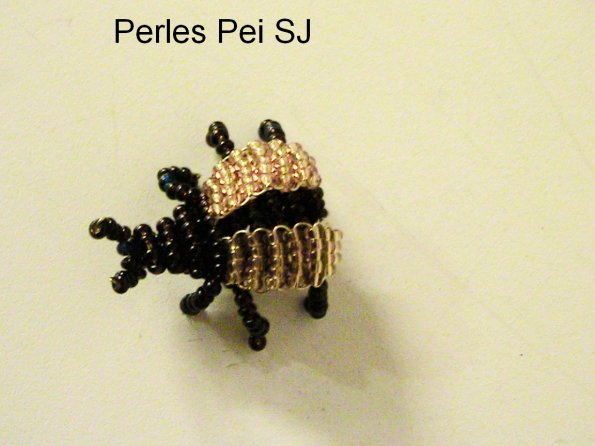 scarabee-1