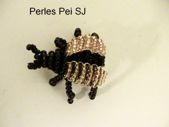 scarabee-2