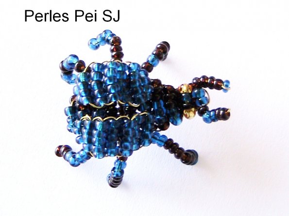 scarabee-4