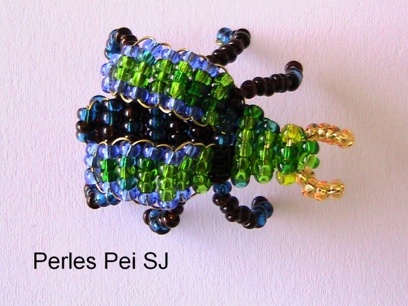 scarabee-5