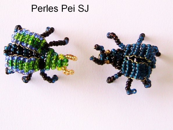 scarabee-6