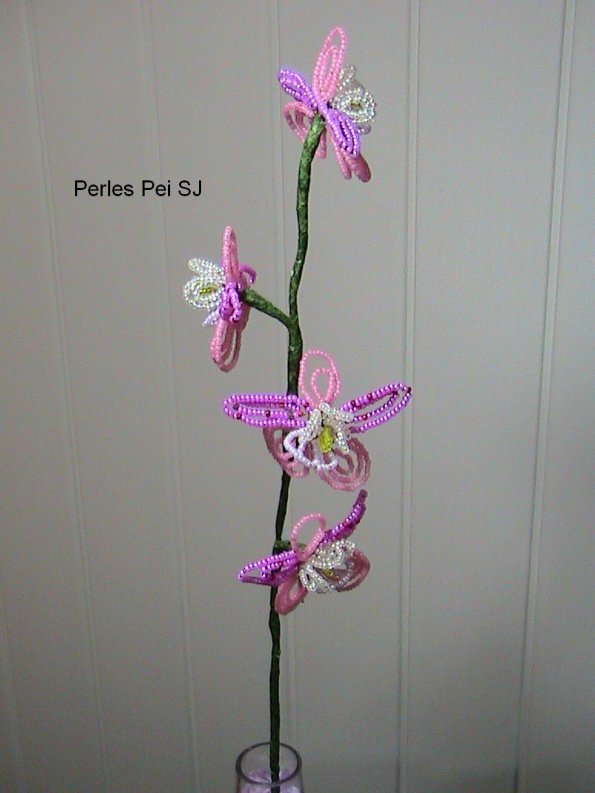orchidee-3-roses-4