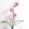 orchidee-rose-1