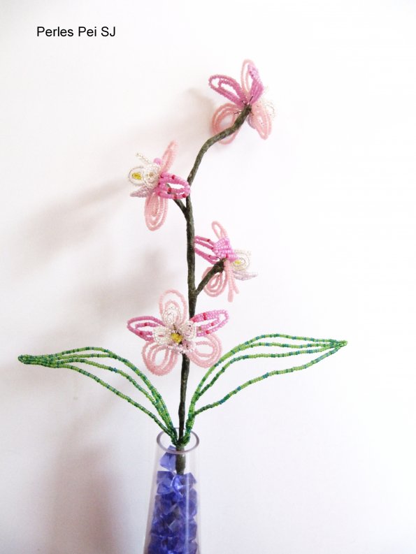 orchidee-rose-1