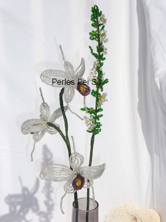 orchidee-violette-ramo