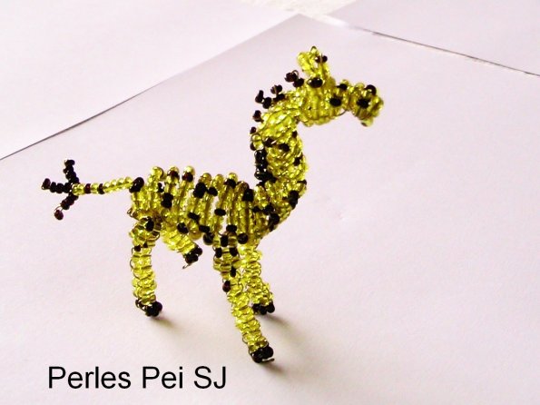 girafe-2