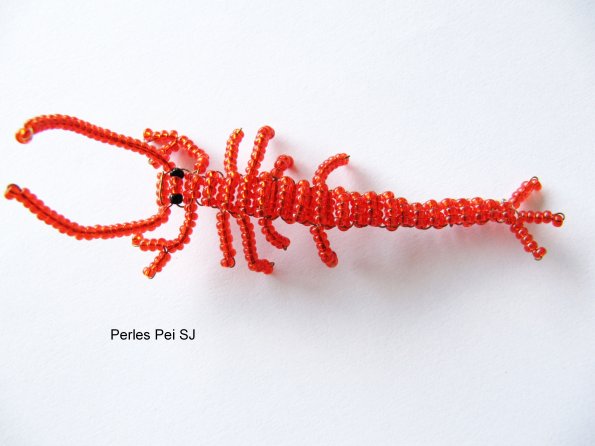 langouste-2