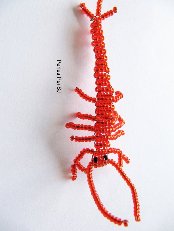 langouste-5