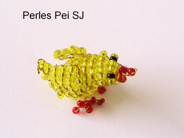 poule-5