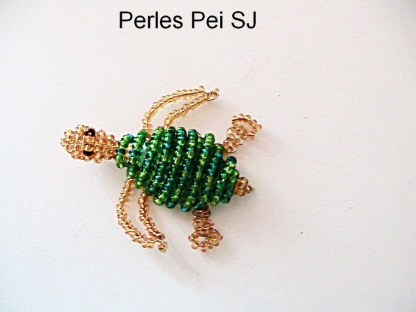 tortue-1
