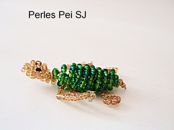 tortue-2
