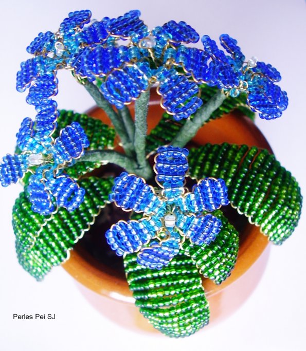 fleur-bleu-2