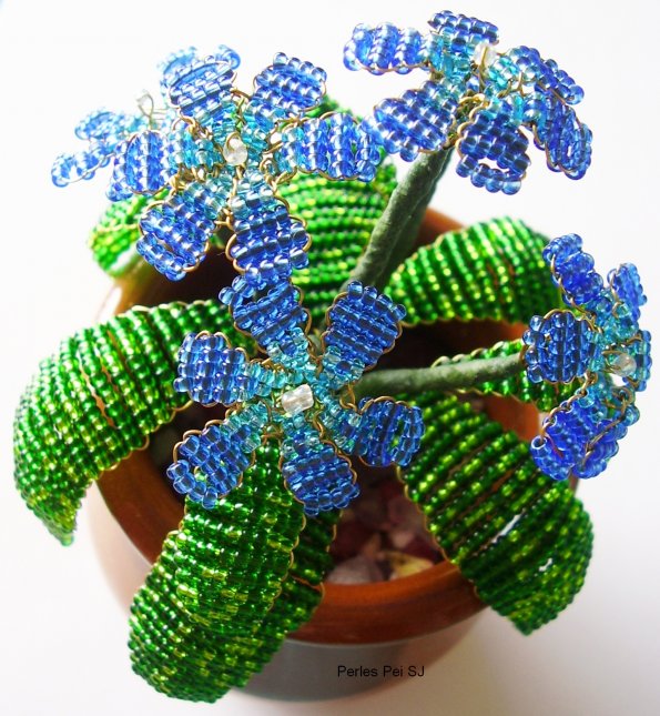 fleur-bleu-8