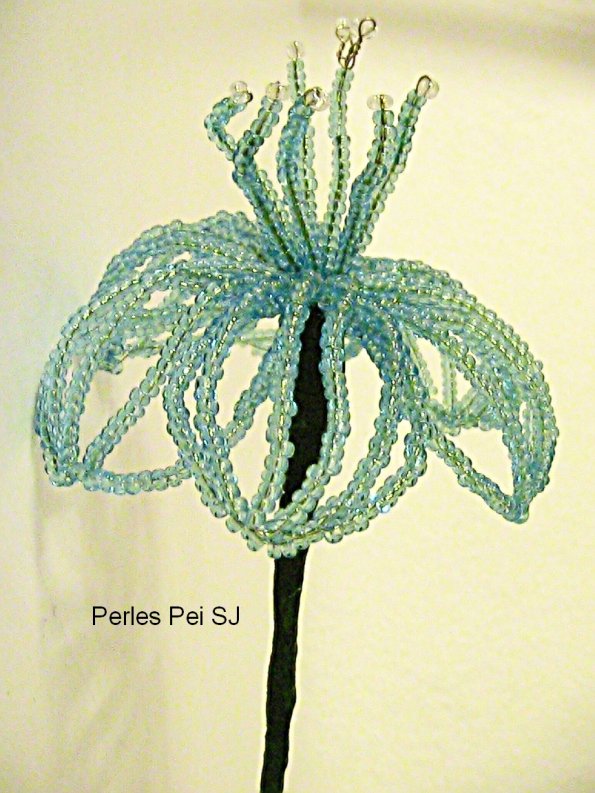 mini-lys-bleu-ciel3