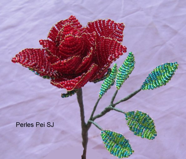rose_ouverte_1