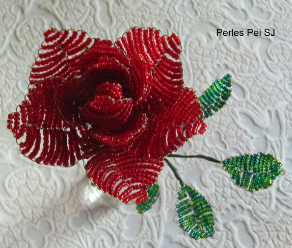 rose_ouverte_3